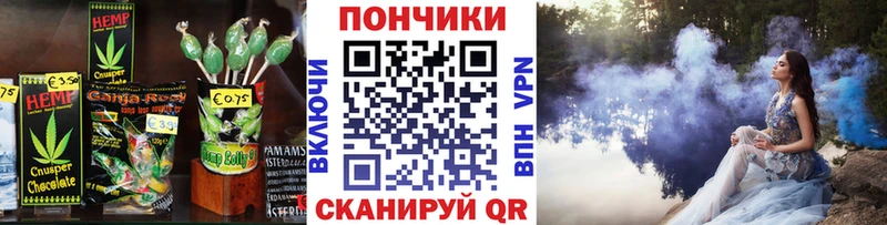 mega онион  Приозерск  Cannafood марихуана 
