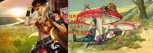 спиды Алзамай