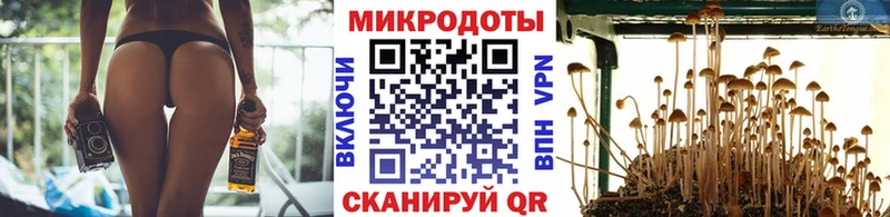 hydra ссылки  Приозерск  Галлюциногенные грибы мухоморы 
