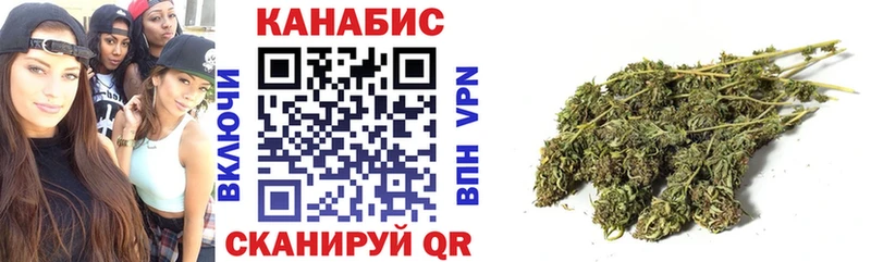 Конопля марихуана Приозерск